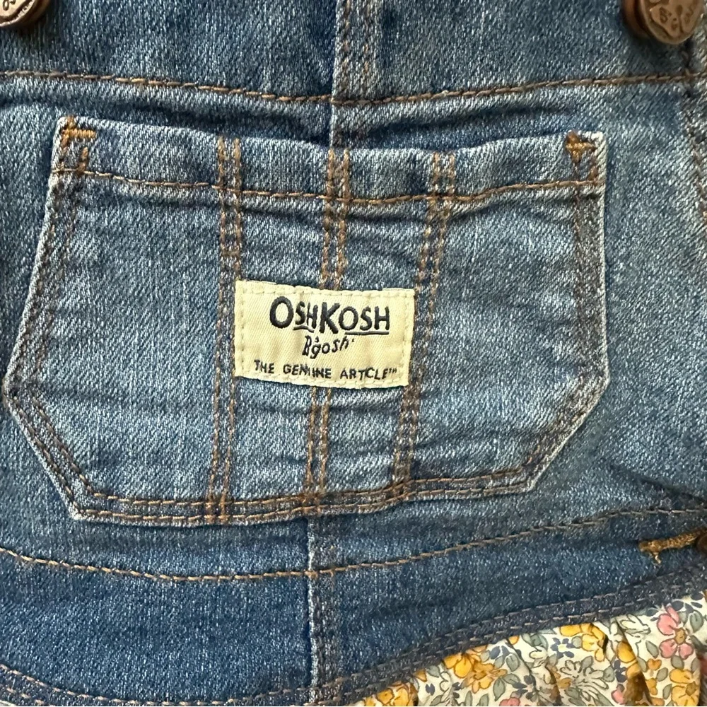 Gymboree Blue Velvet Dress and Osk Kosh Floral Print Denim Jumper Dress bundle
